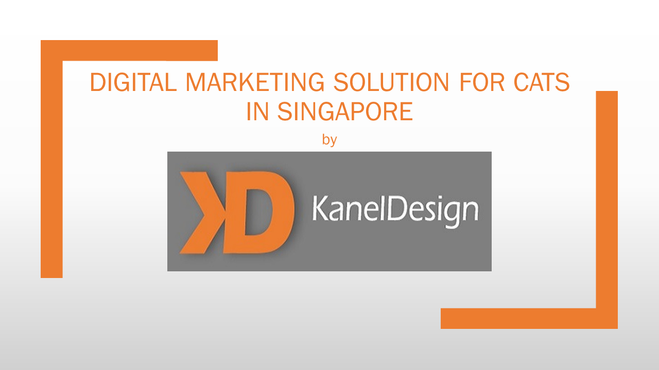 digital marketing solution for cats in Singapore