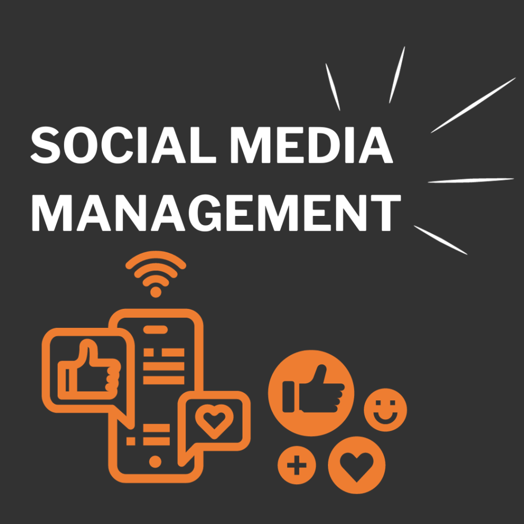 Assisting SMEs with social media management.